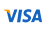 Visa Payment