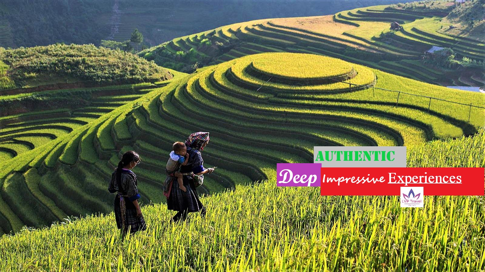 Sapa discovery