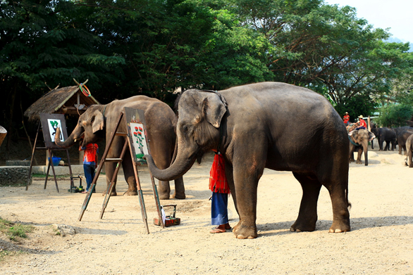 Thailand Unusual 8 days /7 nights -
