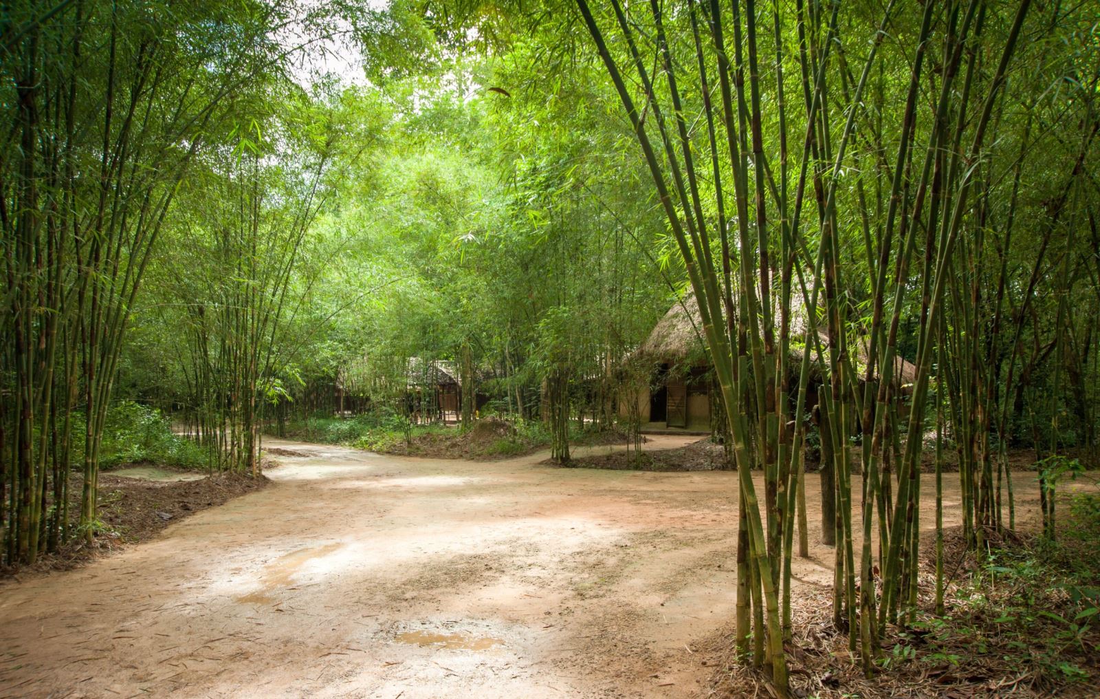 Half day tour Cu Chi Tunnels by motor boat 