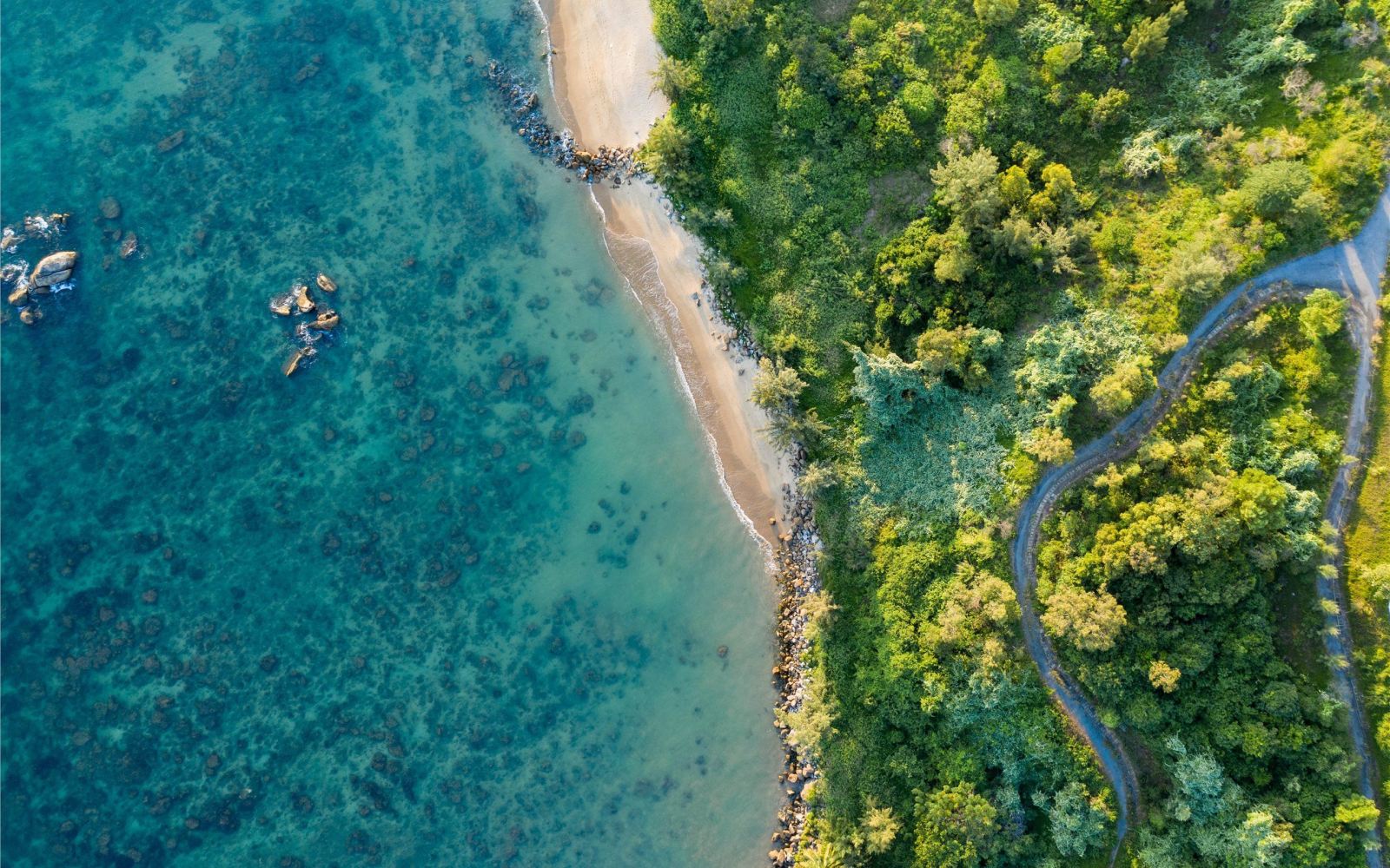 Da Nang coast