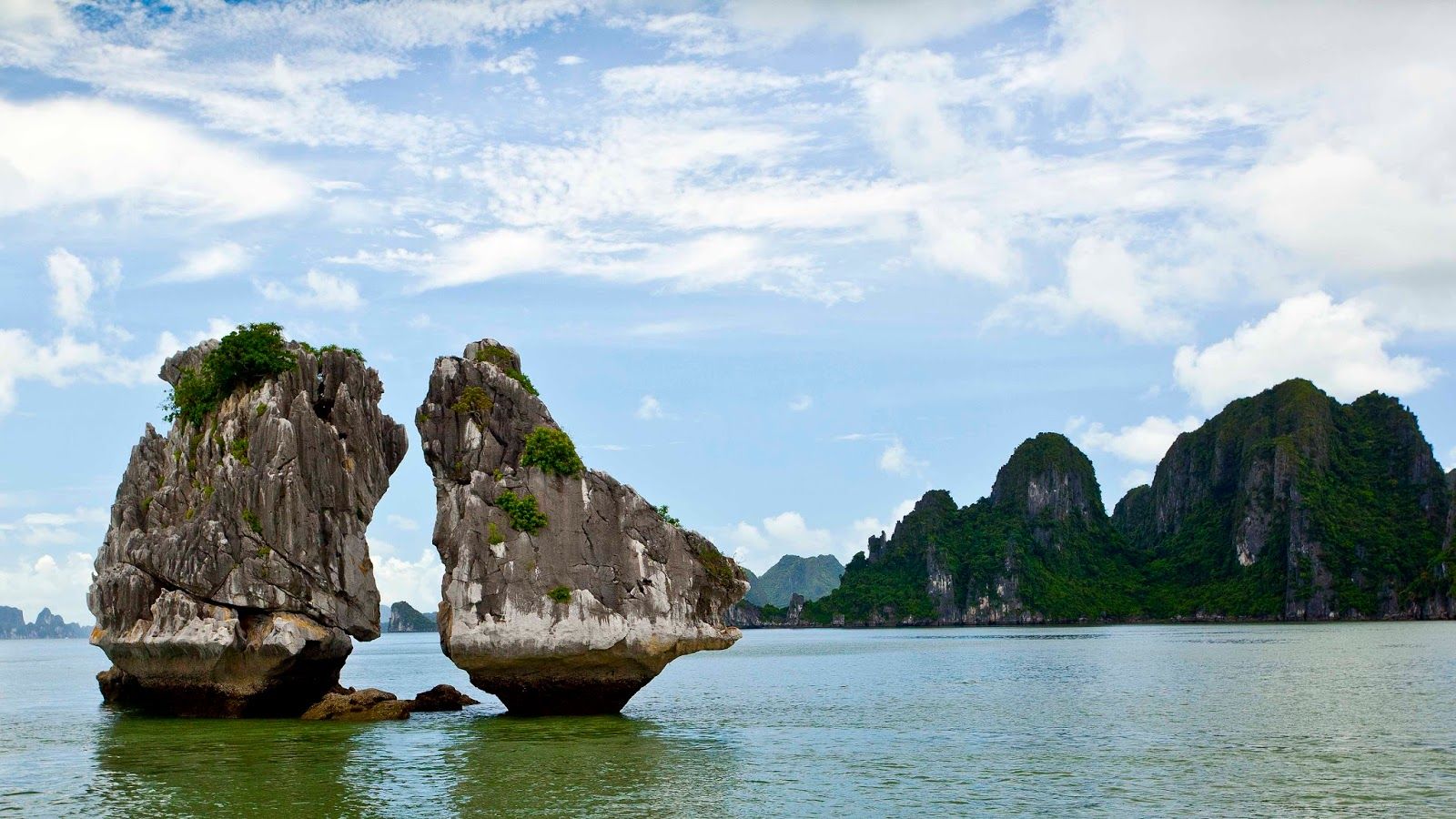 Halong Bay fighting cock islet