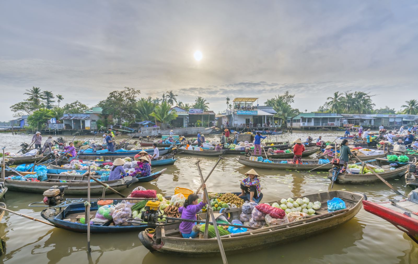 mekong delta