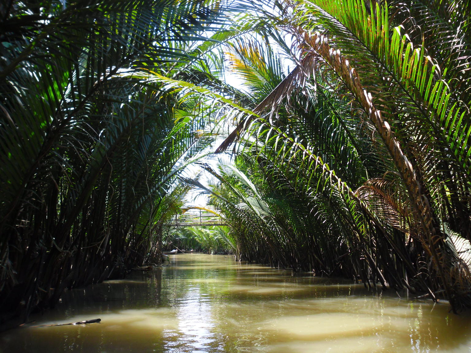 Mekong tour