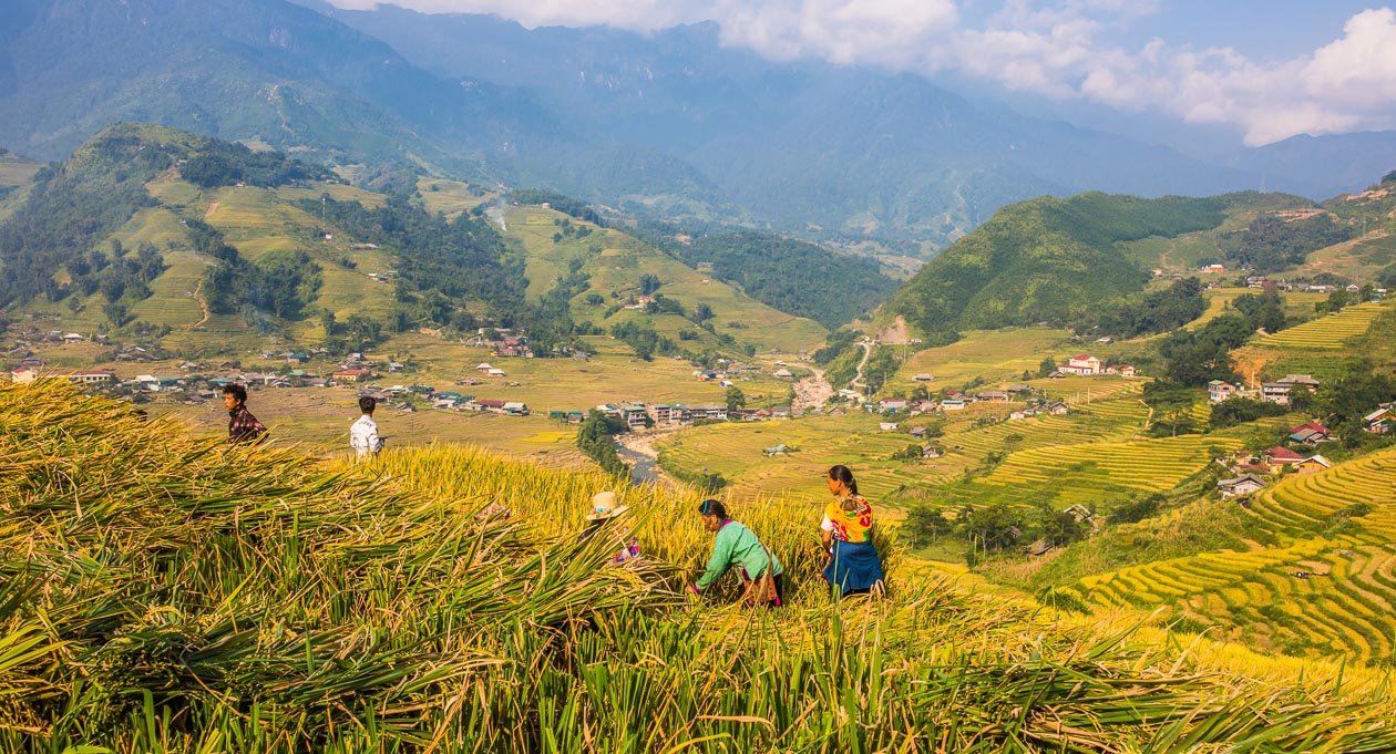 Sapa trekking