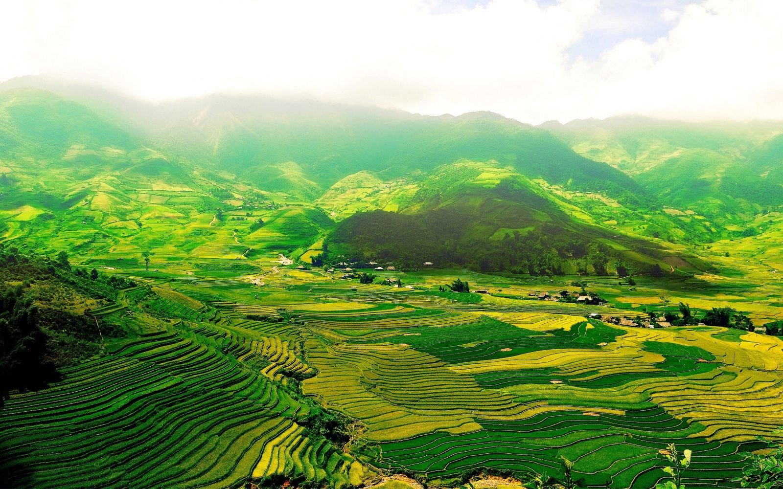 Trekking Lao Chai - Ta Van in Sapa