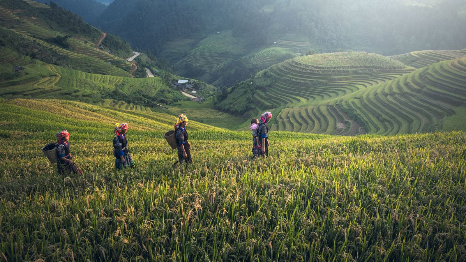 ethnic people on their's field