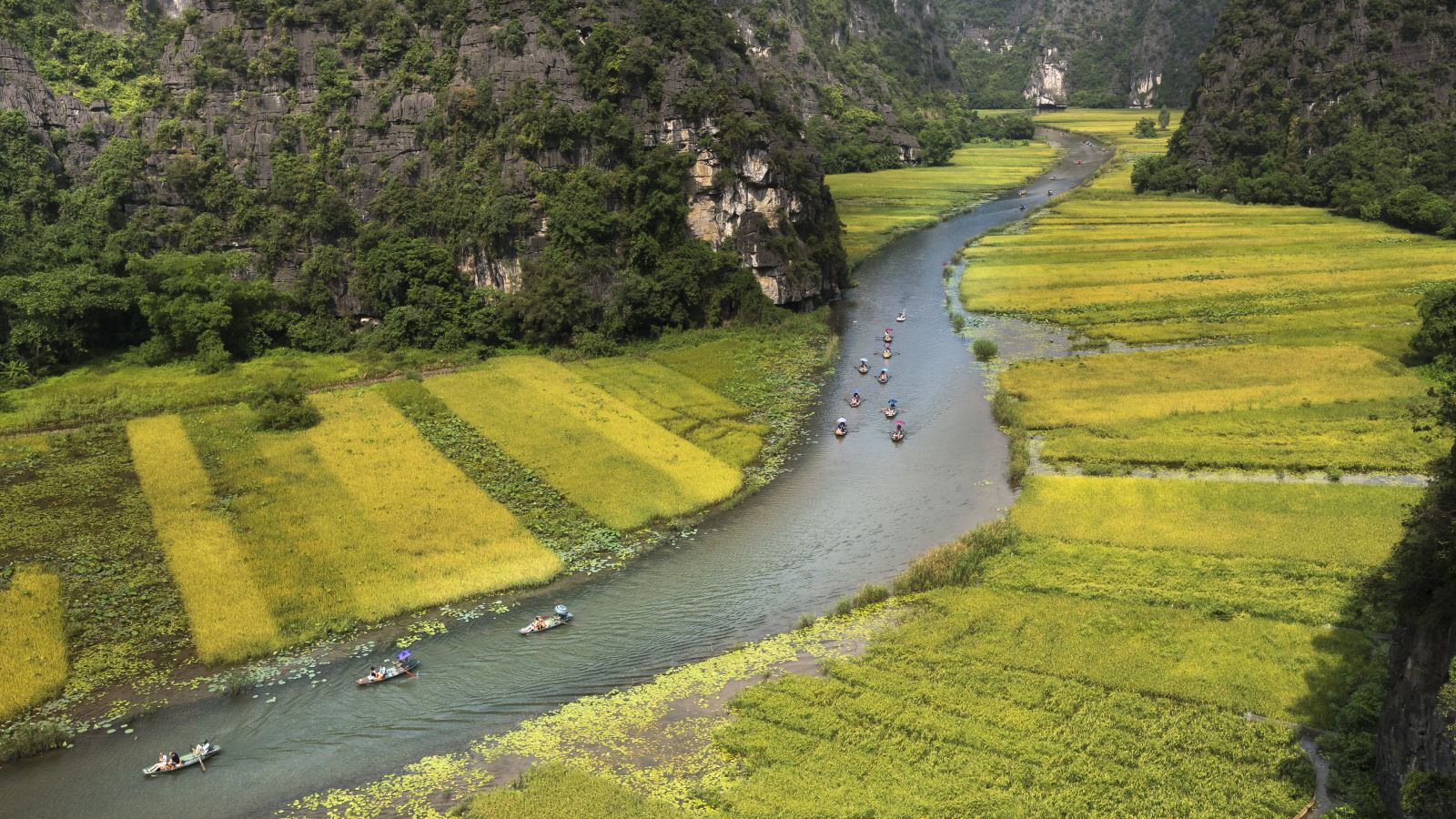 Hoa Lu – Tam Coc Day Tour 3