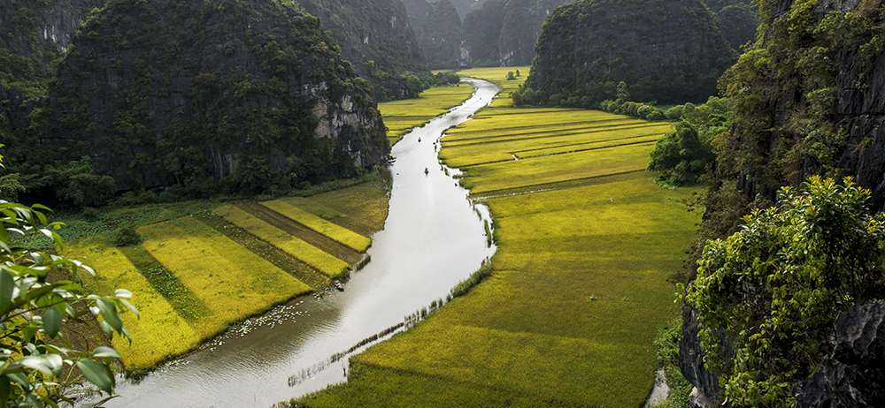 Tam Coc river