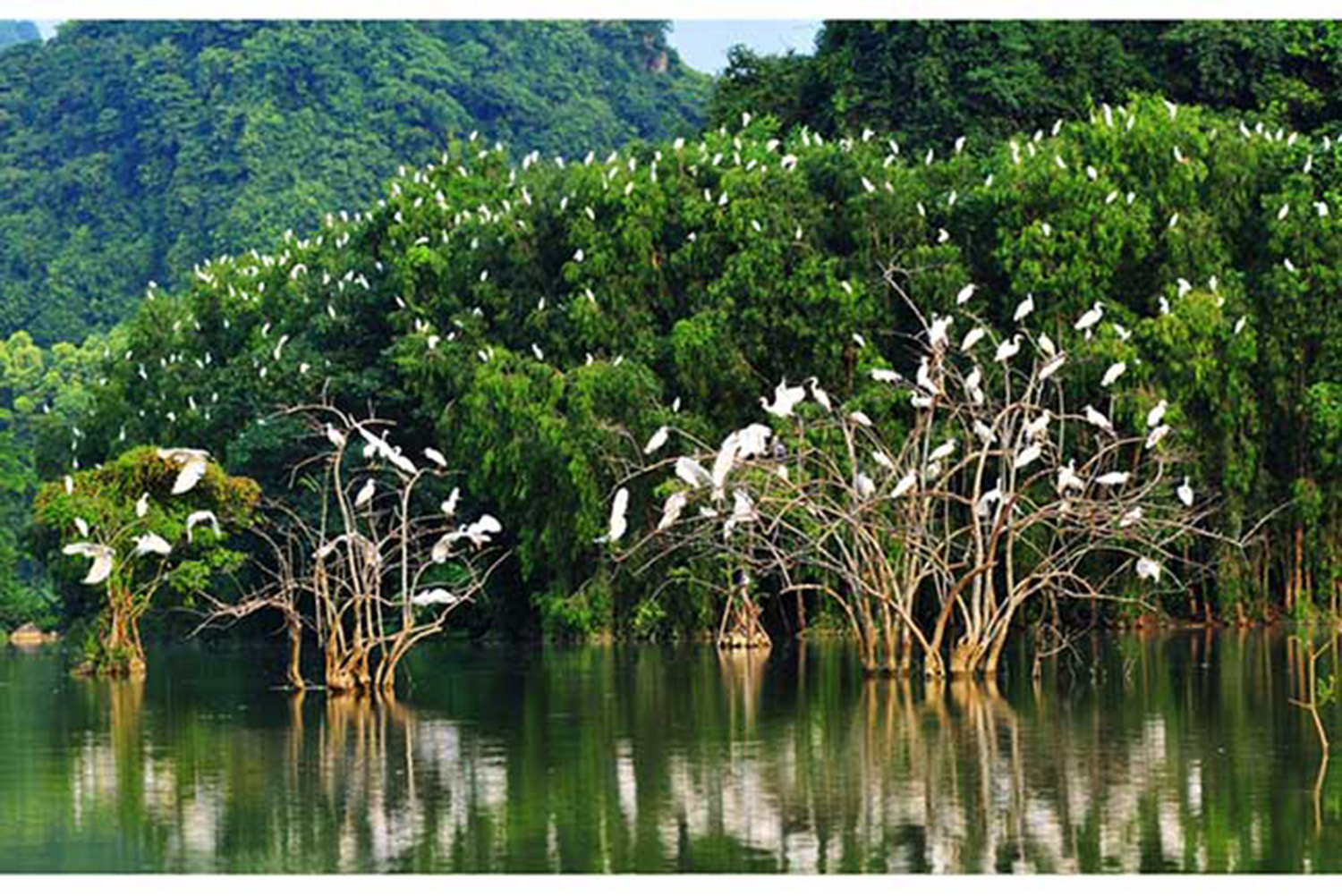 Thung Nham Bird Valley Bich Dong Day Trip 3